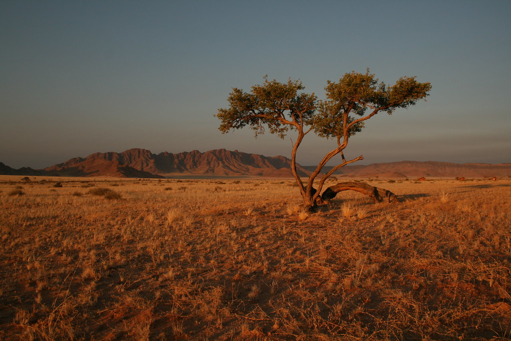 Weite Landschaft in der Sossusvlei-Region in Namibia